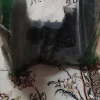 پوتین سربازی|کیف، کفش، کمربند|کاشان, امام خمینی|دیوار