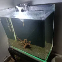 آکواریوم|ماهی|تبریز, |دیوار