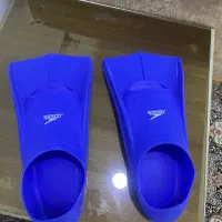 فین شنا