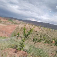 فروش باغ فنس شده قره بلاغ|فروش زمین و ملک کلنگی|میانه, |دیوار