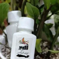 پودر بوگیر برای عرق و کفش