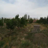 باغ در جاده بناب