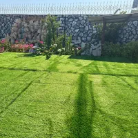 فروش باغ ۱۷۰۰ متری گورک|فروش دفتر صنعتی، کشاورزی، تجاری|بوشهر, |دیوار