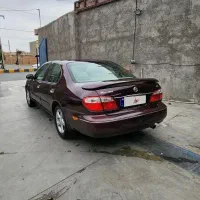 ماشین ماکسیما مدل ۸۱|خودرو سواری و وانت|زاهدان, |دیوار
