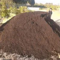 باغبانی|خدمات باغبانی و درختکاری|ورامین, ورامین|دیوار