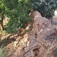 باغ شهری فاروق متراژ ۱۰۰۰متری|فروش خانه و ویلا|سیدان, |دیوار