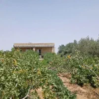 فروش باغ و ویلا