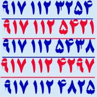 ۹۱۷.۱۱۲.۳۲۵۴