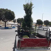 حمل باروانت بارپیکان باروانتی باربری تلفنی کرایه|خدمات حمل و نقل|ایلام, |دیوار