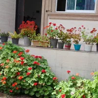 اجاره ویلا ساحلی در بهترین لوکیشن