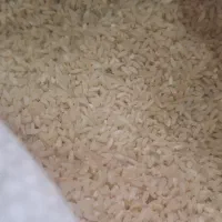 برنج چمپا درجه یک