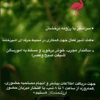 جذب نیرو کار