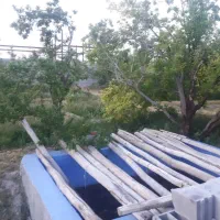 فروش-1قطعه-باغ-بادرختان-جوان-بارده-به-متراژ2350متر