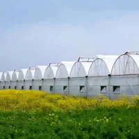 ساخت سازه های گلخانه ای