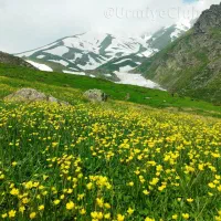 راهنمایی برای سرمایه گذاری