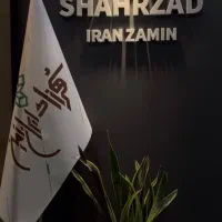 حسابدار خانم