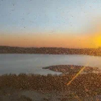 برج اداری آرتمیس ویو ابدی رینگ دریاچه ۱۰۵ متر|فروش دفتر کار، اتاق اداری، مطب|تهران, دریاچه شهدای خلیج فارس|دیوار