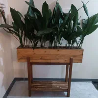 باکس گل چوب طبیعی