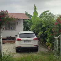 ماشین مدل بالا در اختیار