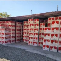 پکیج مدل k24 شرکت ایران رادیاتور