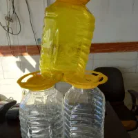 پت ترشی و خیارشور