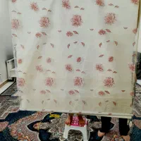 پرده زبرا سالم نو