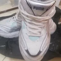 کتونی پوما اصل اصل سایز41