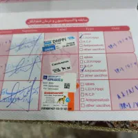 سگ شیتسو تری نر|سگ|بجنورد, |دیوار