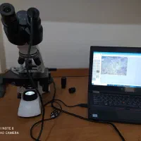 پروپوزال، مقاله، پایان نامه و ساخت پاورپوینت|خدمات آموزشی|اهواز, کوی ملی راه|دیوار