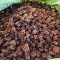 آلوچه خشک|خوردنی و آشامیدنی|تهران, بازار|دیوار