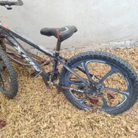 دوچرخه|دوچرخه، اسکیت، اسکوتر|خورش رستم, |دیوار