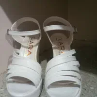 کفش مجلسی|کیف، کفش، کمربند|اهواز, کوی صادقیه|دیوار