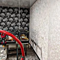 نصب کاغذ دیواری با بهترین شرایط رنگ آمیزی|خدمات پیشه و مهارت|دوگنبدان, |دیوار