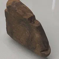 چوب سنگ شده