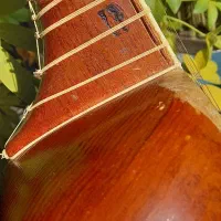 تاردرویش غلامحسین