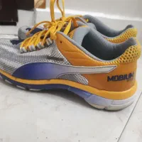 دو جفت کتونی از آب گذشته کتونی برند