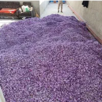 زعفران نگین صادرات|عمدهفروشی|تربتحیدریه, پائین ولایت|دیوار