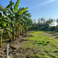 200-متر-زمین-واقع-در-لامیزده-محموداباد