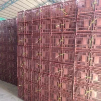 سبد ۱۴ کیلویی|ظروف نگهدارنده، پلاستیکی، یک‌بارمصرف|قائم‌شهر, |دیوار