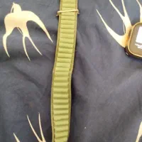 ساعت هوشمند