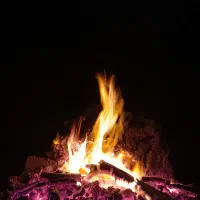 پیاده روی جاده گل نرگسی