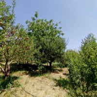 زمین ۵۰۰ متر دماوند جابان سند تک برگ شهرکی