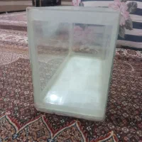 اکواریوم .|ماهی|مرند, |دیوار
