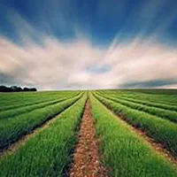 شرکت اماده رتبه 5 کشاورزی صدور جدید