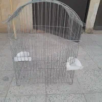 قفس