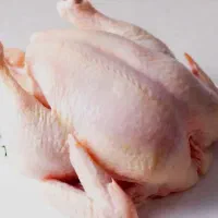 مرغ منجمد پخش تکی و تعداد بالا