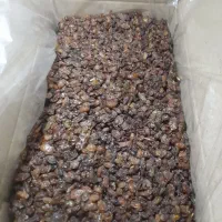 تخصصی گله آبگیری خلیل آباد کاشمر ،جزیی کلی|خوردنی و آشامیدنی|مشهد, هدایت|دیوار