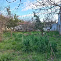 ویلای۶۵۰متری سندتکبرگ|فروش خانه و ویلا|هادی شهر, |دیوار