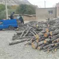 خریدار انواع چوب