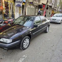 زانتیا بی رنگ استثنایی